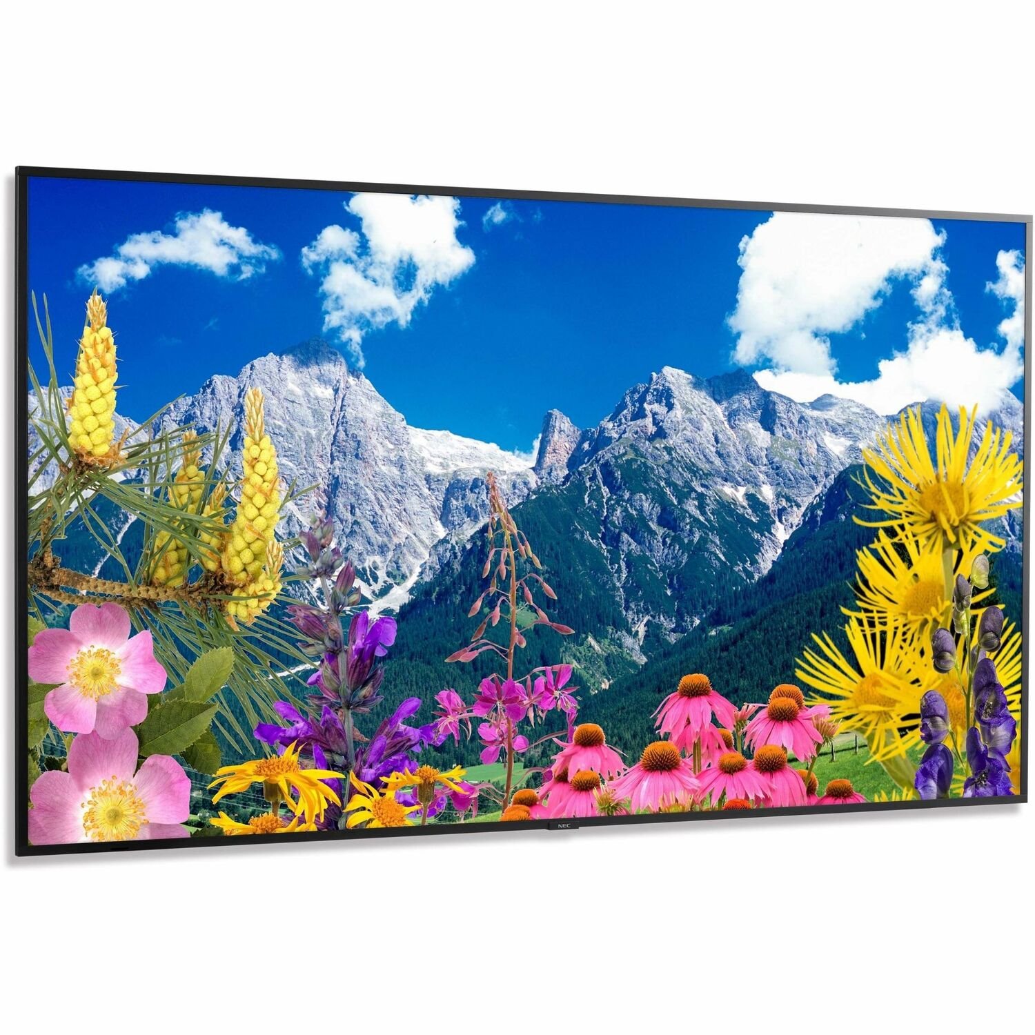 NEC Display 86" Ultra High Definition Professional Display with ATSC/NTSC Tuner