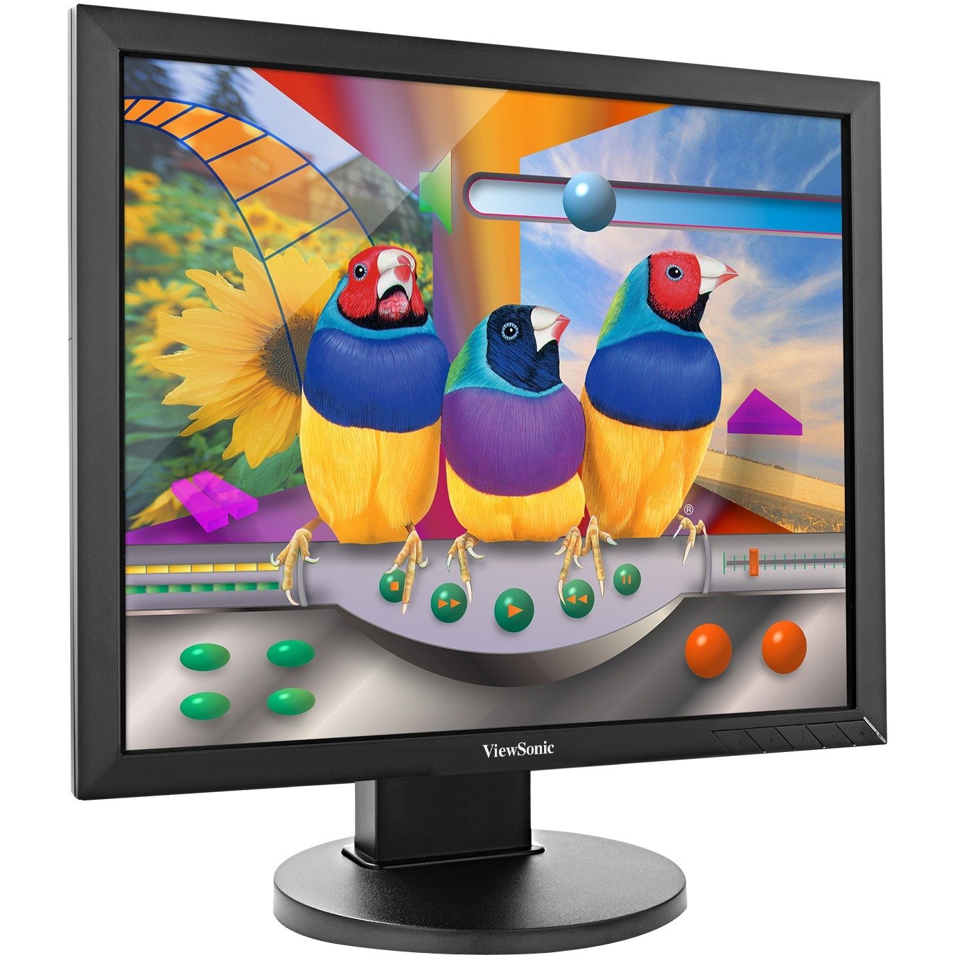 ViewSonic VG939SM 19 Inch IPS 1024p Ergonomic Monitor with DVI and VGA for Home and Office