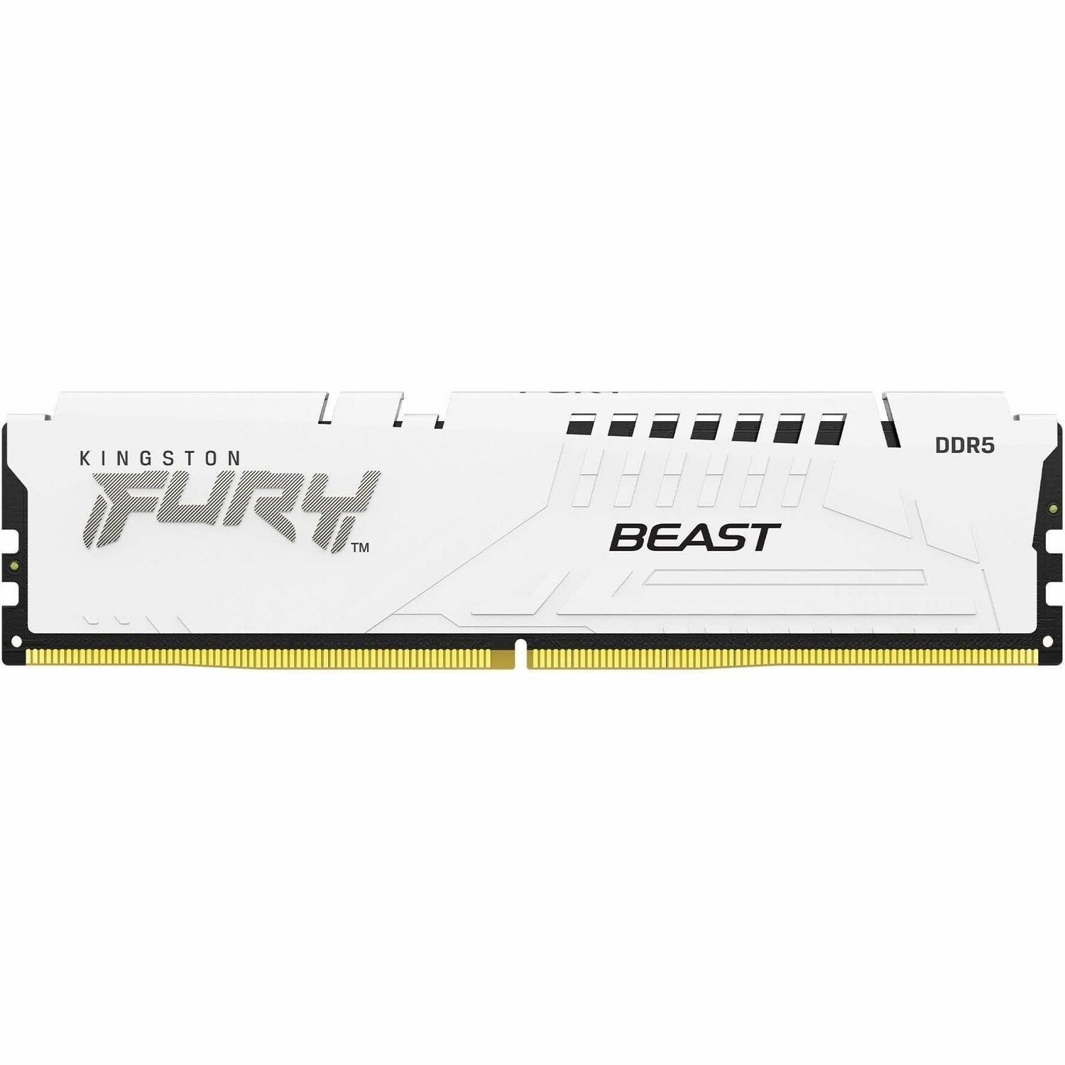 Kingston FURY Beast 32GB DDR5 SDRAM Memory Module