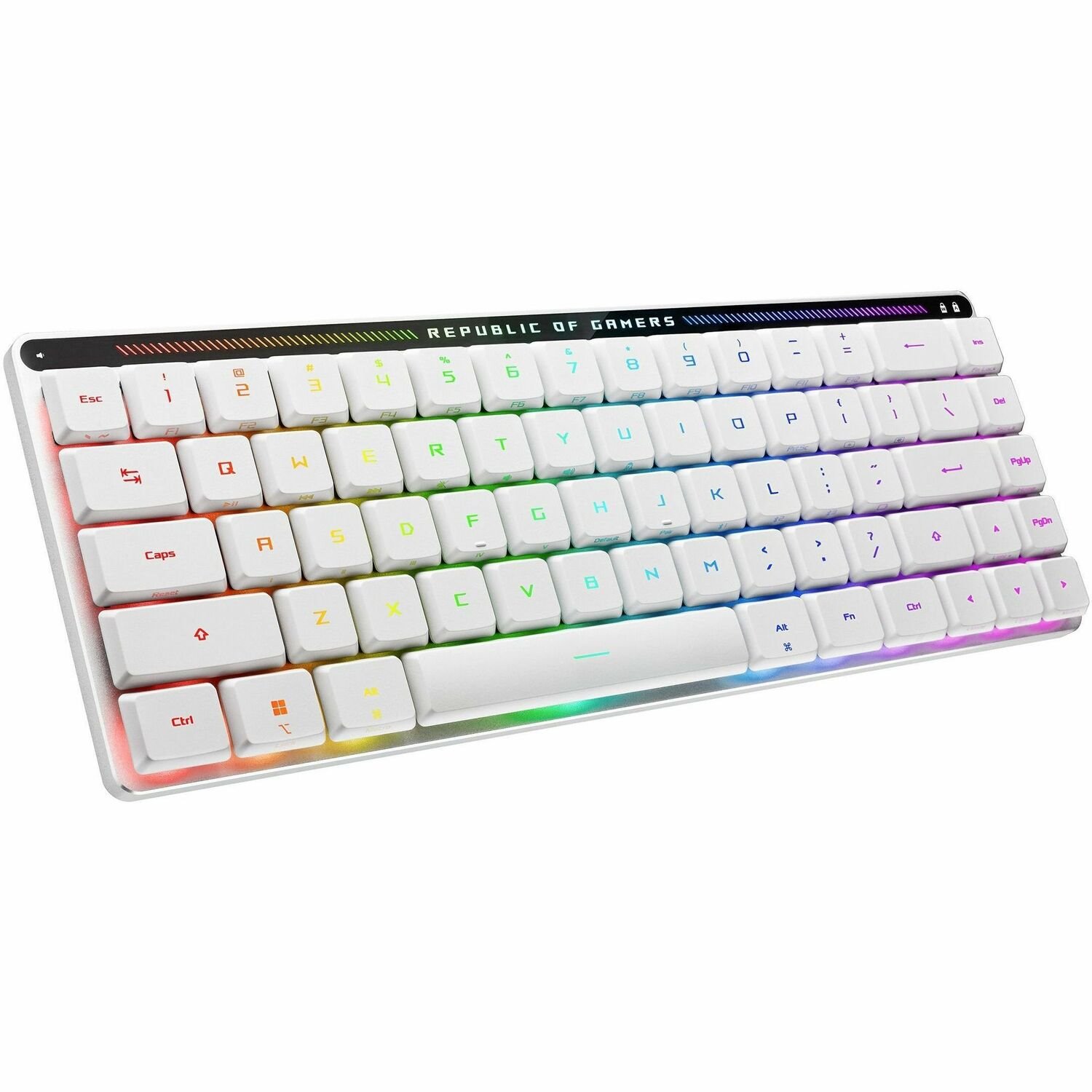 Asus ROG Falchion RX Low Profile Gaming Keyboard - Wired/Wireless Connectivity - USB 2.0 Interface - RGB LED