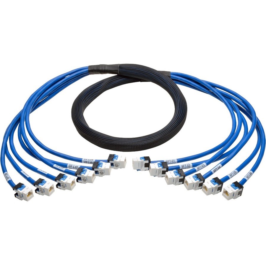 Eaton Tripp Lite Series Cat6a 10G Pre-Terminated Copper Trunk Assembly (6x RJ45 F/F), Blue, 6 ft. (1.83 m)