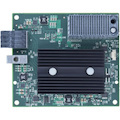Lenovo Flex System EN4132 2-Port 10Gb Ethernet Adapter
