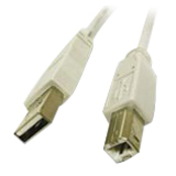 C2G 81562 3 m USB Data Transfer Cable - 1