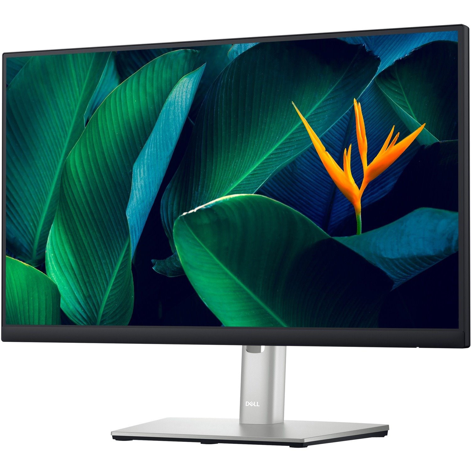 Dell Professional P2223HC 22" Class Full HD LCD Monitor - 16:9 - TAA Compliant