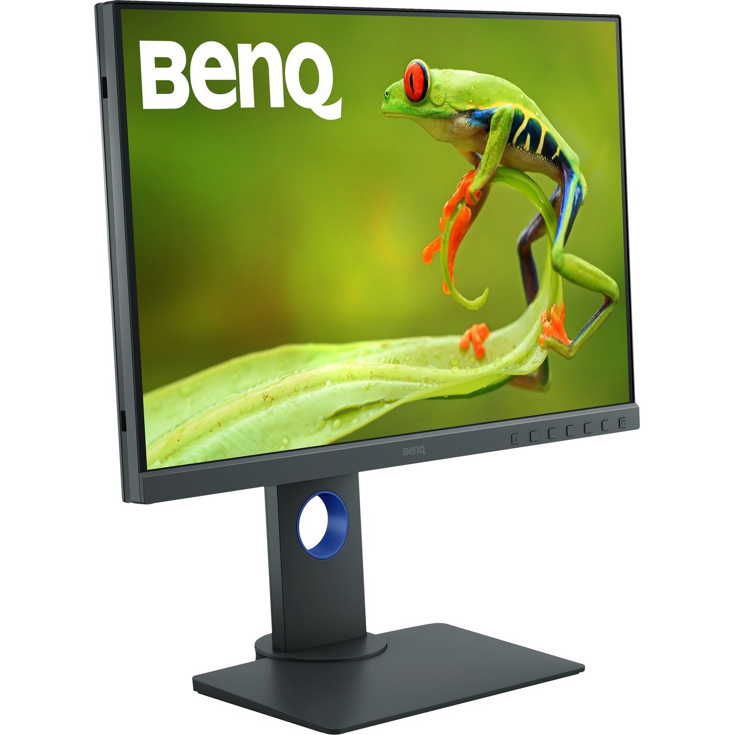 BenQ PhotoVue SW240 61.2 cm (24.1") WUXGA LED LCD Monitor - 16:10 - Grey