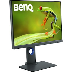 BenQ PhotoVue SW240 WUXGA LCD Monitor - 16:10 - Grey