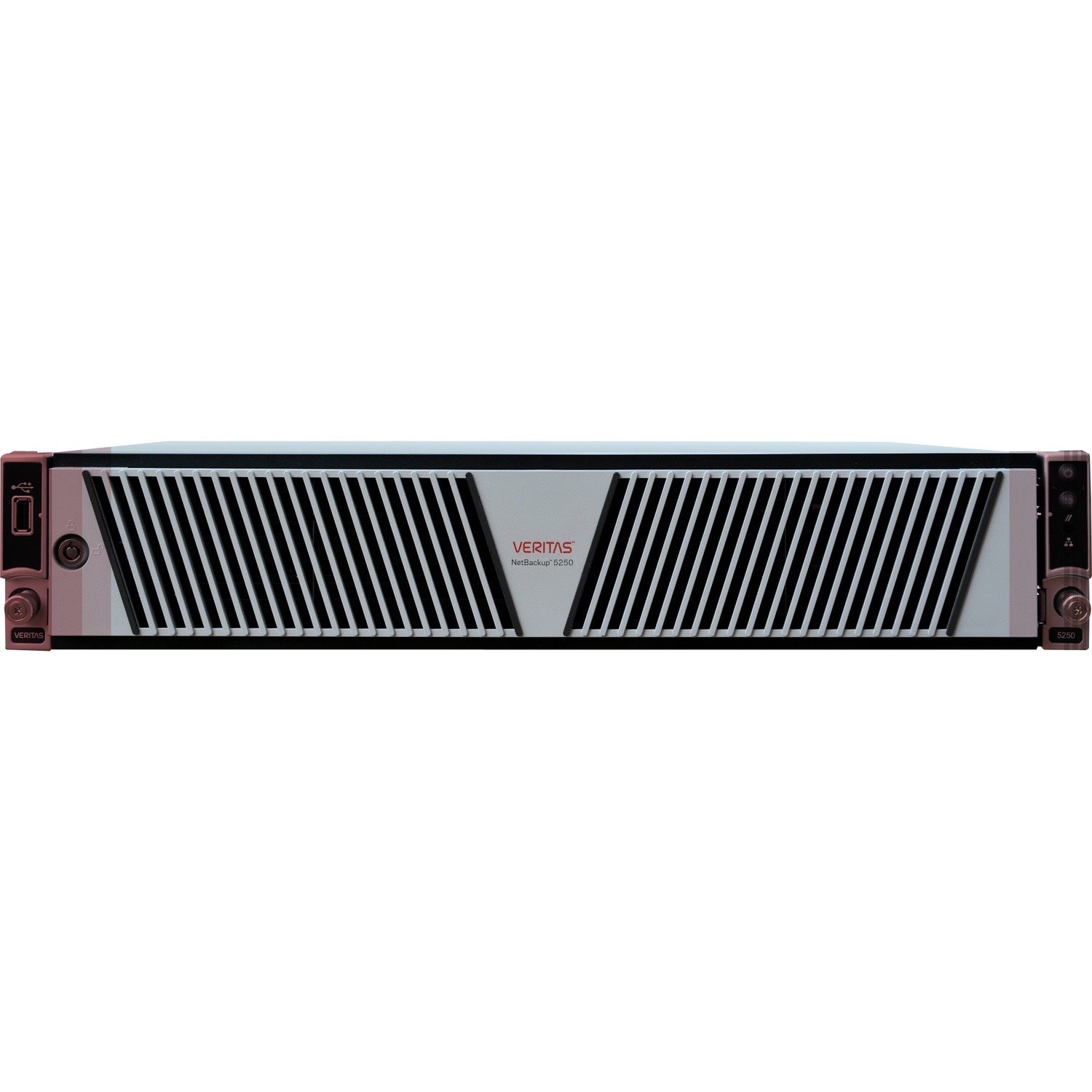 Veritas Veritas NetBackup 5250 SAN/NAS Storage System