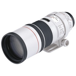 Canon - 300 mmf/4 - Telephoto Fixed Lens for Canon EF/EF-S