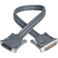 Tripp Lite by Eaton Daisy Chain Cable for NetDirector KVM Switch B020-Series and KVM B022-Series, 2 ft. (0.61 m)