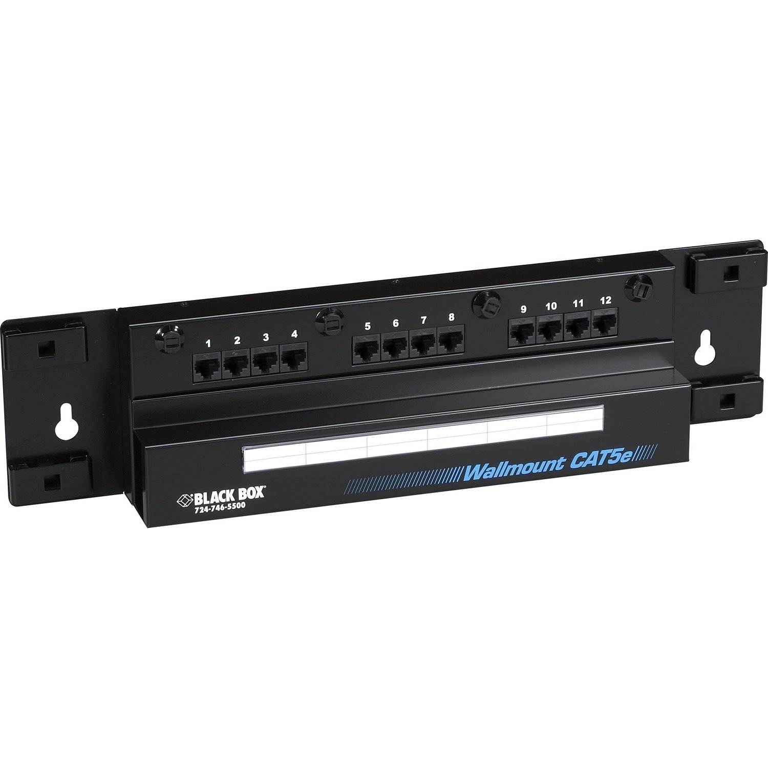 Black Box 12 Port Wallmount Cat 5e Network Patch Panel