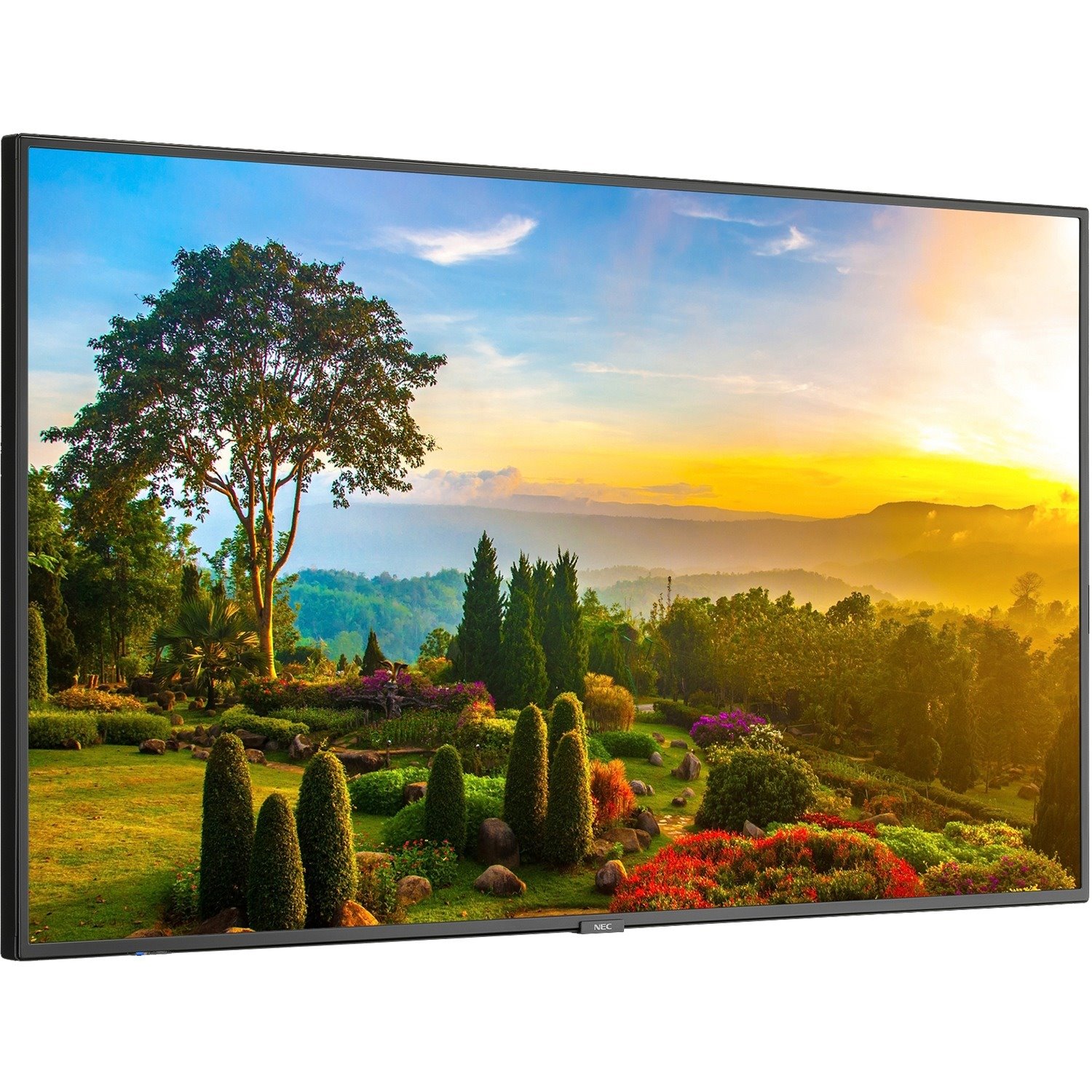 NEC Display 55" Ultra High Definition Professional Display with Integrated ATSC/NTSC Tuner