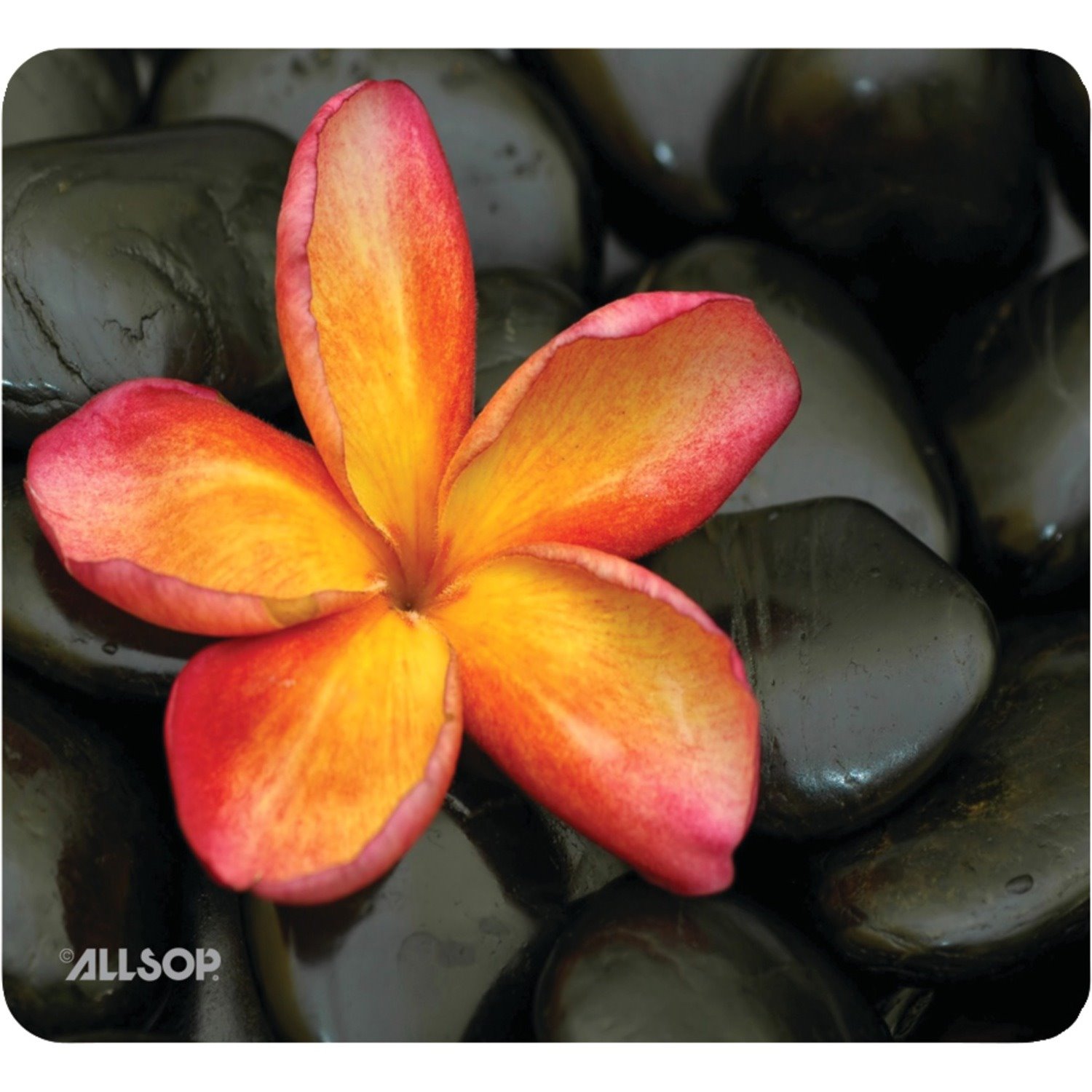 Allsop NatureSmart Image Mousepad - Floral - (30185)