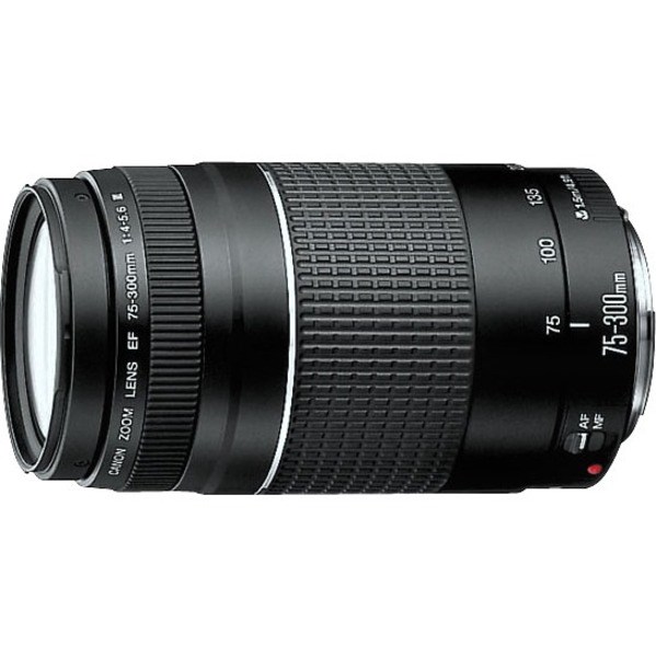 Canon - 75 mm to 300 mmf/5.6 - Telephoto Zoom Lens for Canon EF