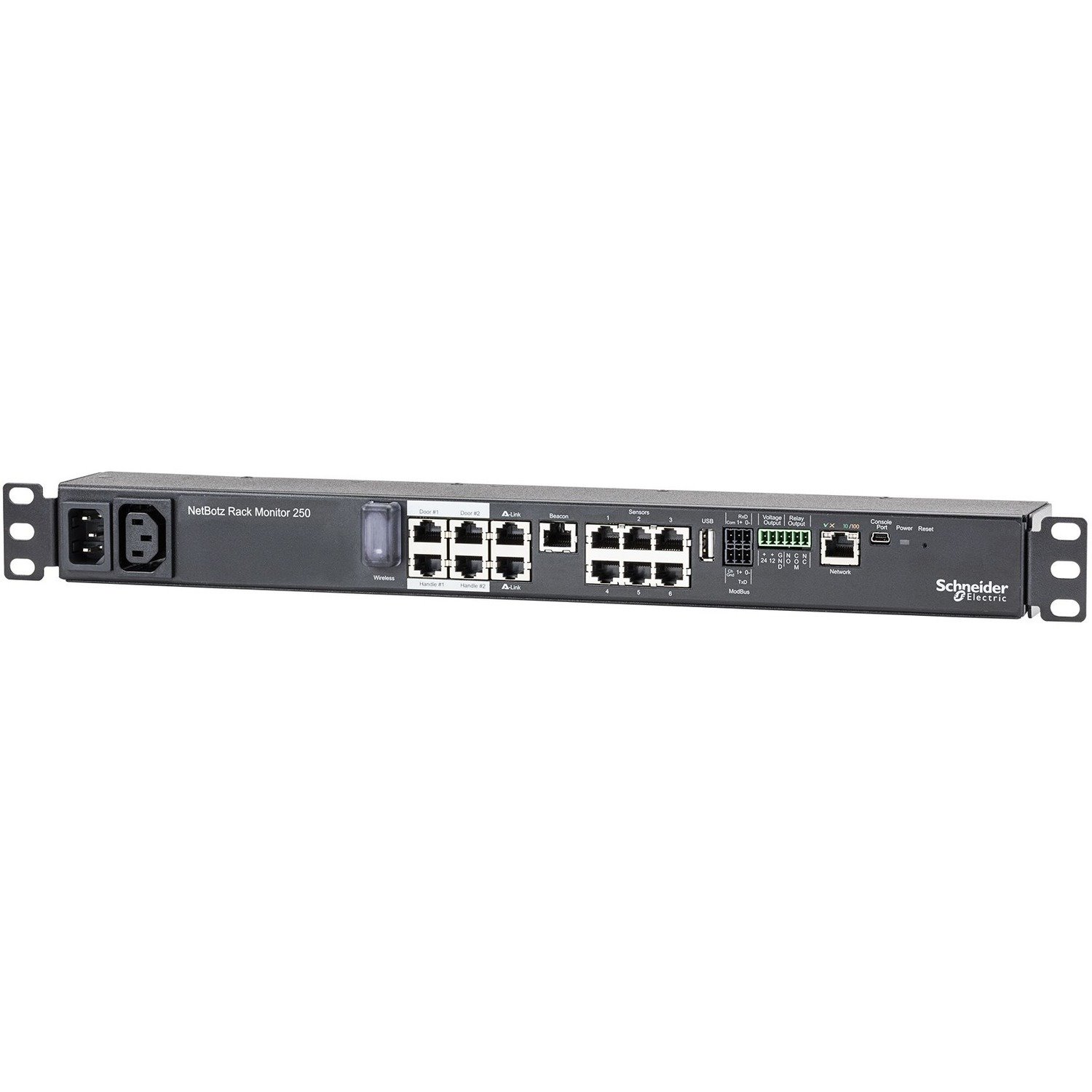 APC by Schneider Electric NetBotz Rack Monitor 250