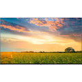 LG UR577H 65UR577H9UD 65" LED-LCD TV - 4K UHDTV