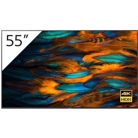 Sony FW55BZ40H 55-inch BRAVIA 4K Ultra HD HDR Professional Display