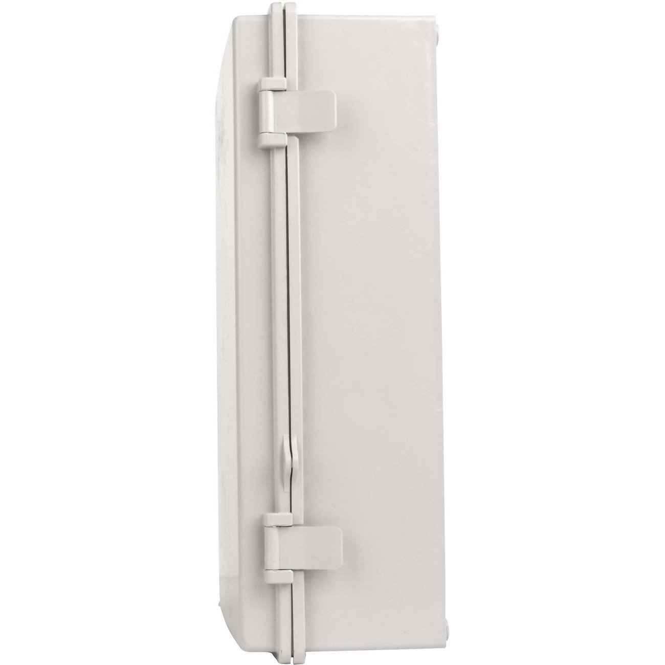 Tripp Lite by Eaton Wireless Access Point Enclosure with Hasp - NEMA 4, Surface-Mount, PC Construction, 15 x 11 in.