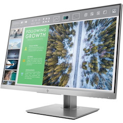 HP Business E243 Full HD LCD Monitor - 16:9 - Black