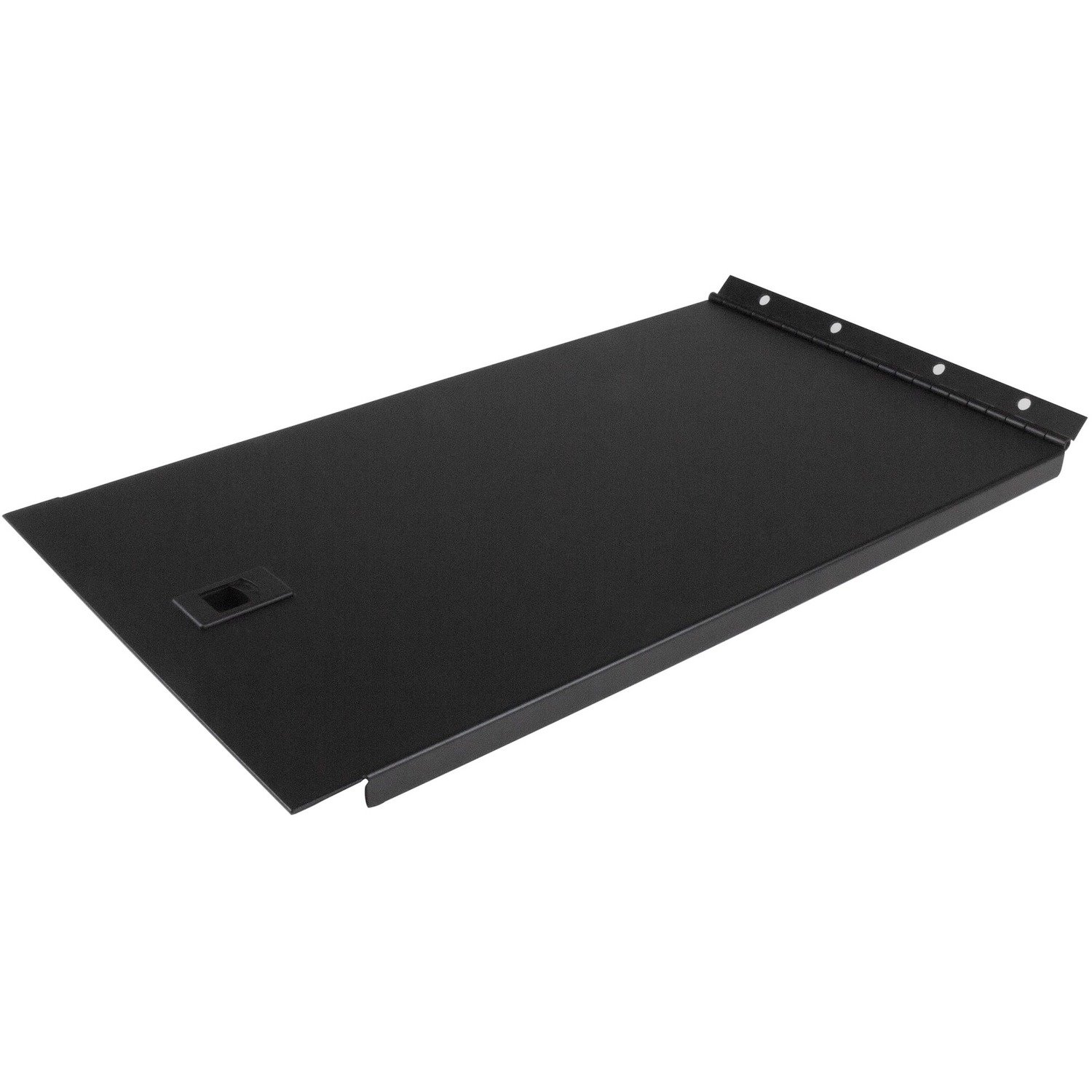 StarTech.com Solid Blank Panel with Hinge for Server Racks - 6U