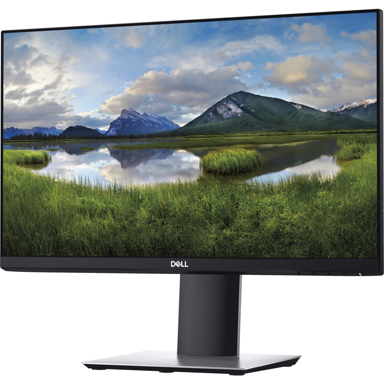 Dell P2219H 22" Class Full HD LCD Monitor - 16:9 - Gray