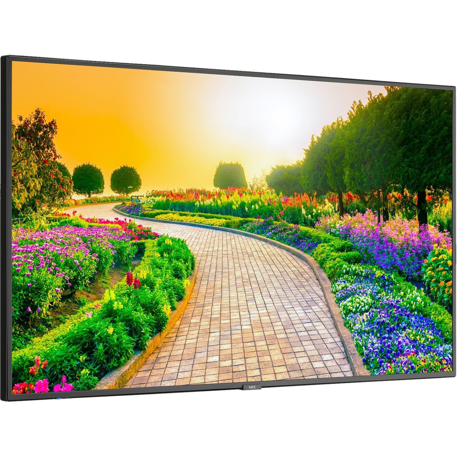 NEC Display 43" Ultra High Definition Professional Display with Integrated ATSC/NTSC Tuner