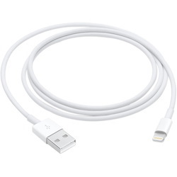 Apple Lightning To USB Cable (1 m)