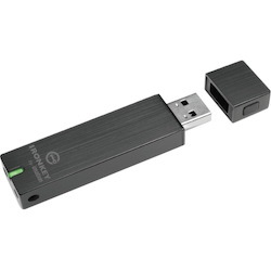 IronKey 16GB Basic S250 USB 2.0 Flash Drive