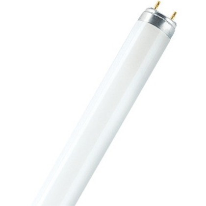 OSRAM LUMILUX Fluorescent Tube