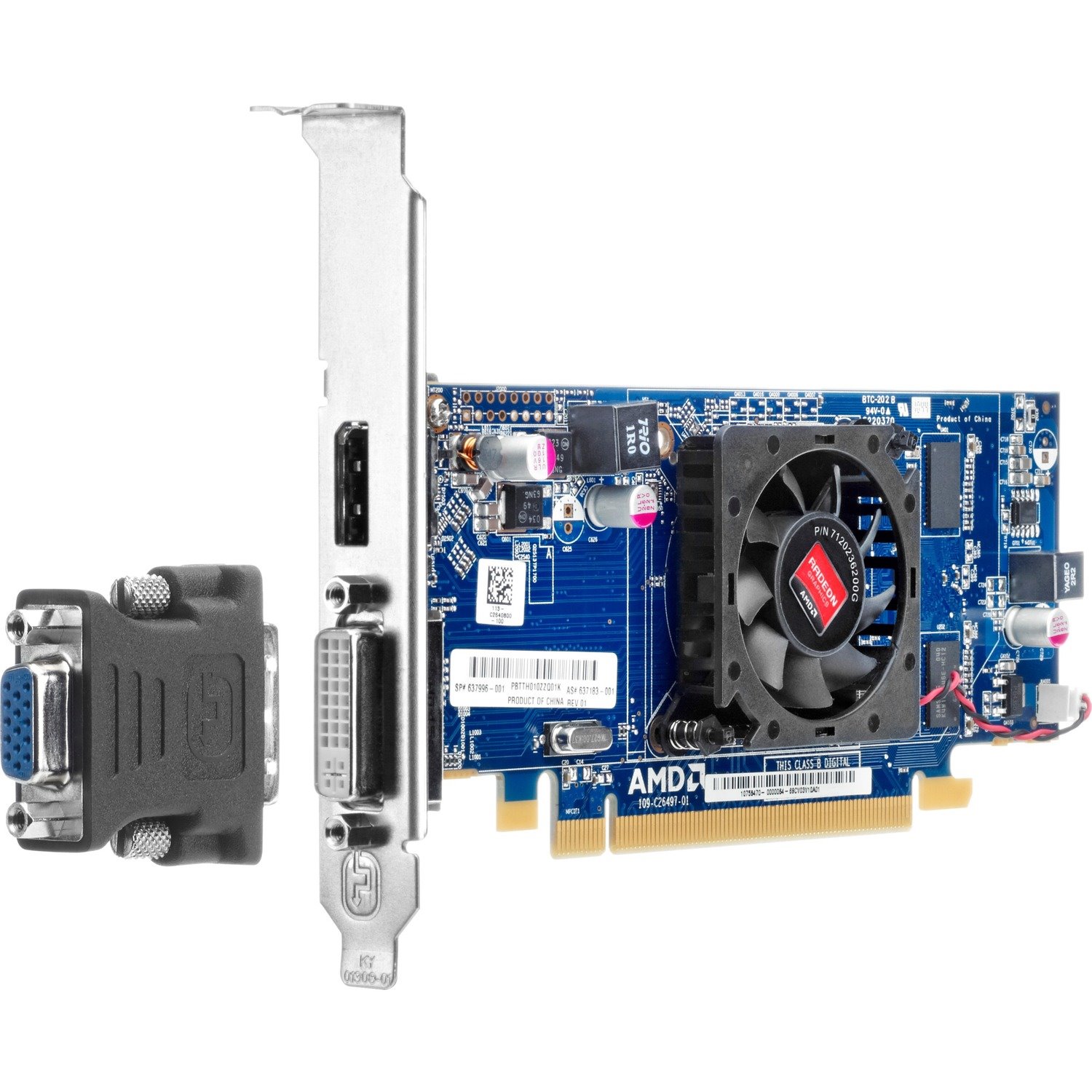 HP AMD Radeon HD 6450 Graphic Card