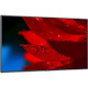 NEC Display 49" Wide Color Gamut Ultra High Definition Professional Display