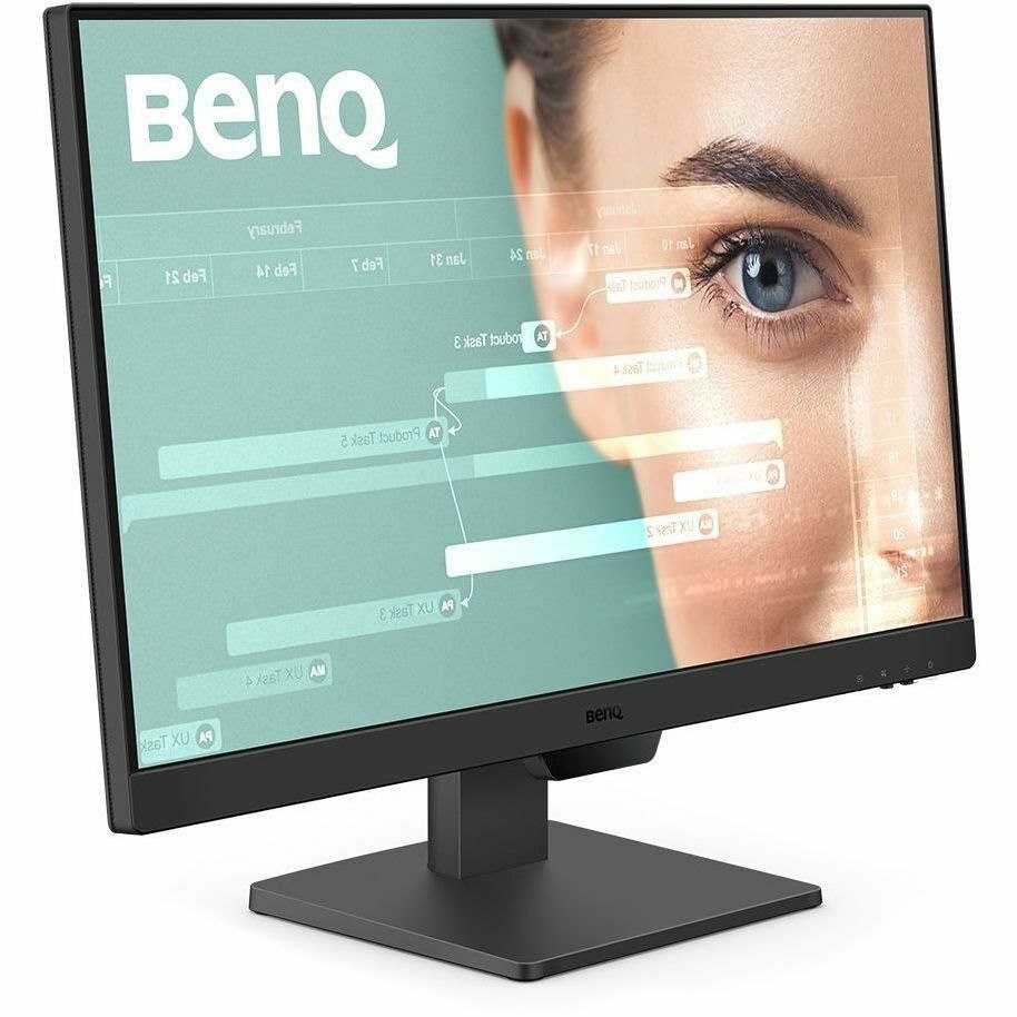 BenQ GW2490T 24" Class Full HD LED Monitor - 16:9