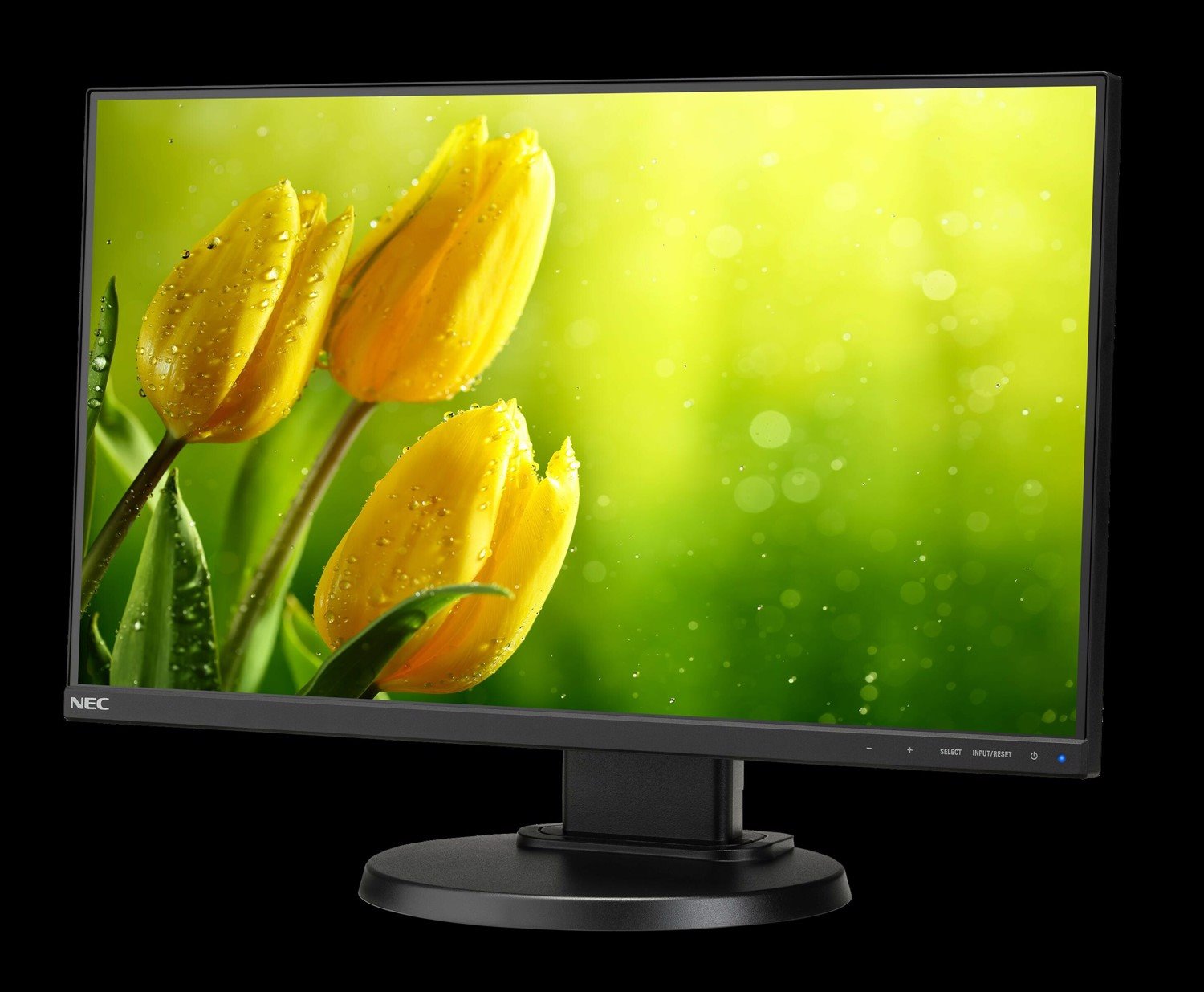 NEC Display MultiSync E221N-BK 22" Full HD LED LCD Monitor - 16:9