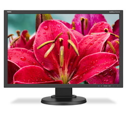 NEC Display MultiSync E245WMI-BK 24" WUXGA LED LCD Monitor - 16:10 - Black
