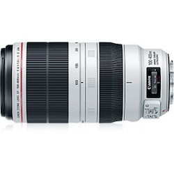 Canon - 100 mm to 400 mmf/5.6 - Zoom Lens for Canon EF