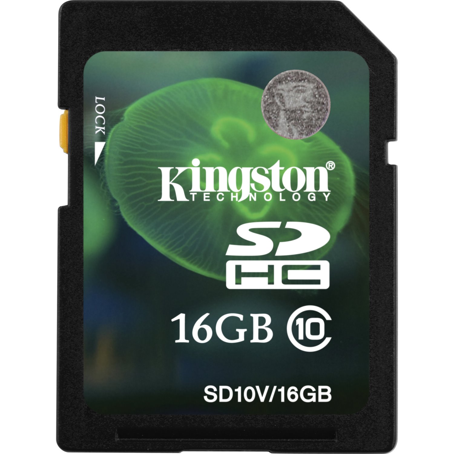 Kingston 16 GB Class 10/UHS-I SDHC