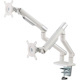 Amer Mounts HYDRA2A Desk Mount for Display Screen, Curved Screen Display, Monitor - Space Gray, Textured White