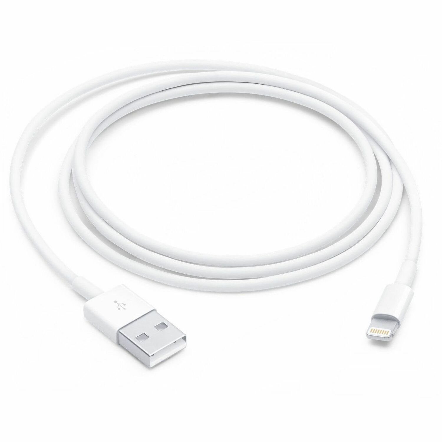 Apple Lightning to USB Cable (1 m)