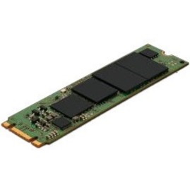 Micron 1300 1 TB Solid State Drive - M.2 Internal - SATA (SATA/600)