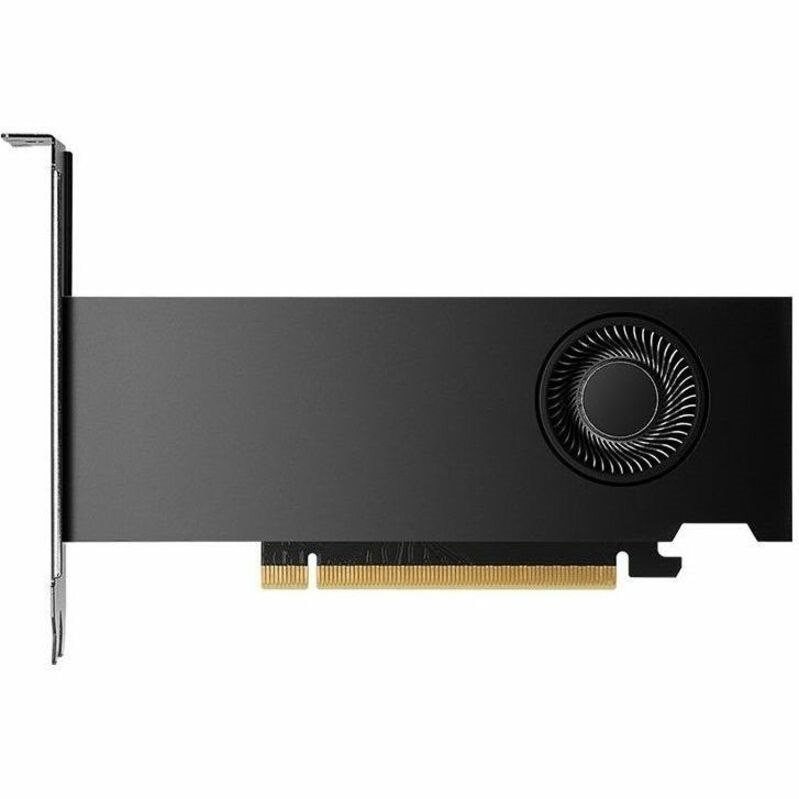 NVIDIA NVIDIA RTX 2000 Ada Graphic Card - 16 GB GDDR6 - Half-height