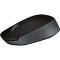 Logitech M171 Mouse - Radio Frequency - USB 2.0 - Optical - Black