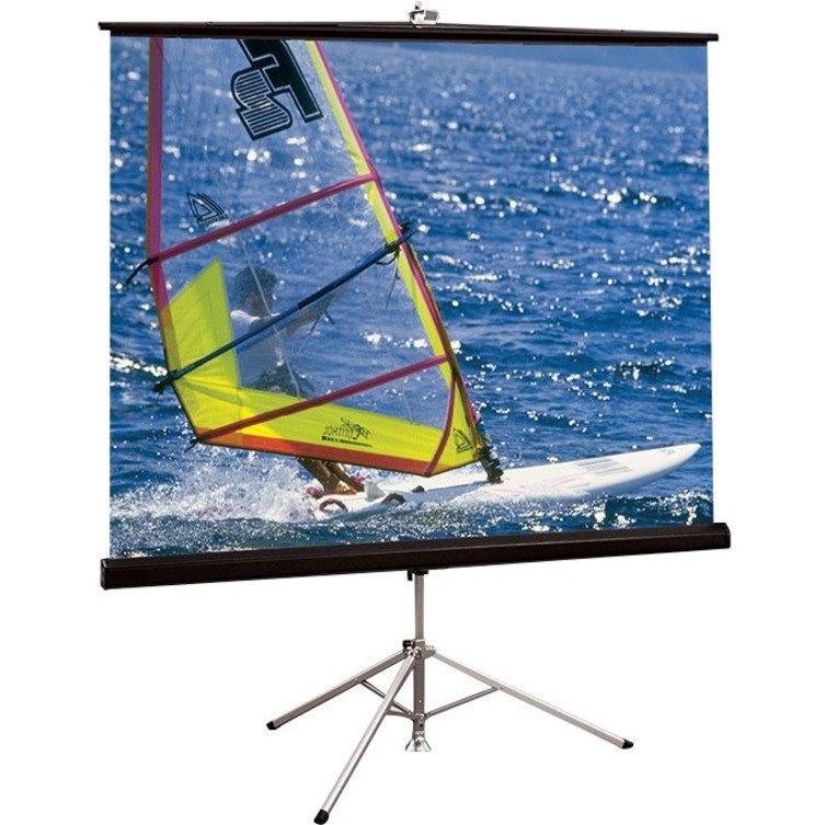 Draper Diplomat/R 106" Projection Screen