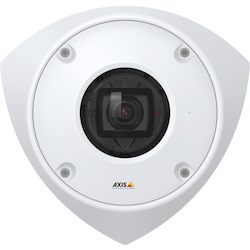 AXIS Q9216-SLV 4 Megapixel Outdoor Network Camera - Color, Monochrome - Dome - Stainless Steel - TAA Compliant