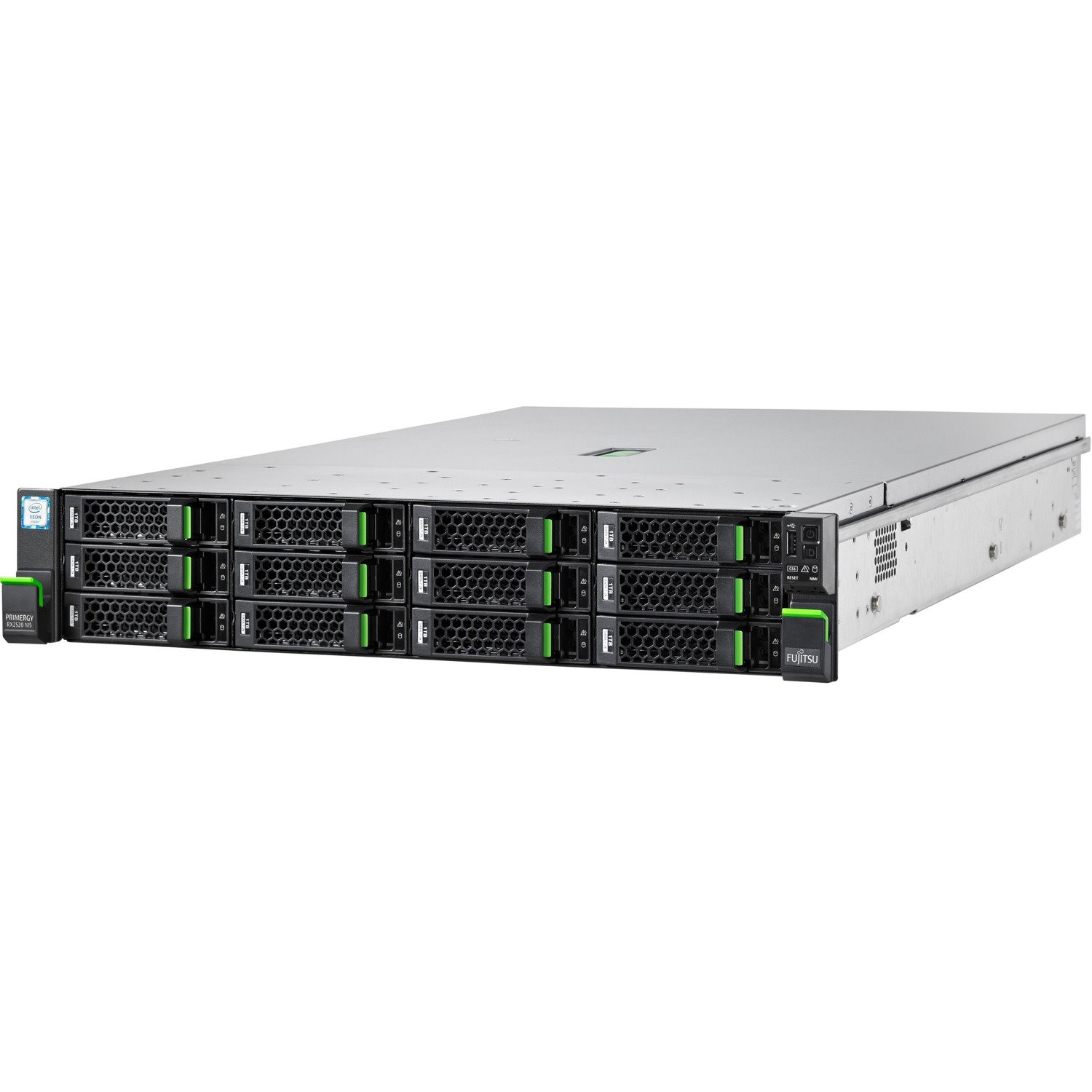 Fujitsu PRIMERGY RX2520 M5 2U Rack-mountable Server - 1 x Intel Xeon Silver 4208 - 16 GB RAM - Serial ATA/600 Controller