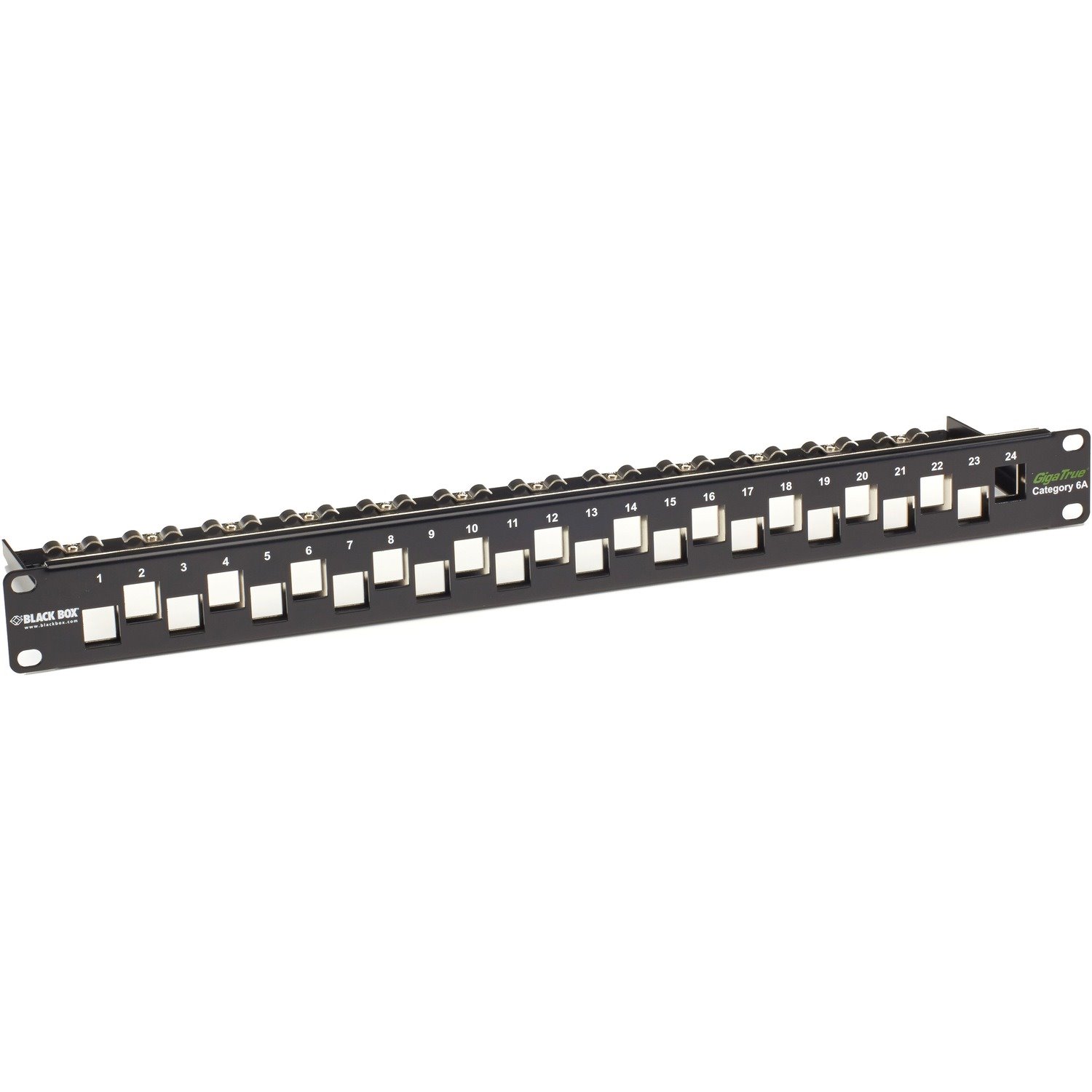 Black Box CAT6A Staggered Multimedia Patch Panel - 1U, Blank, 24-Port