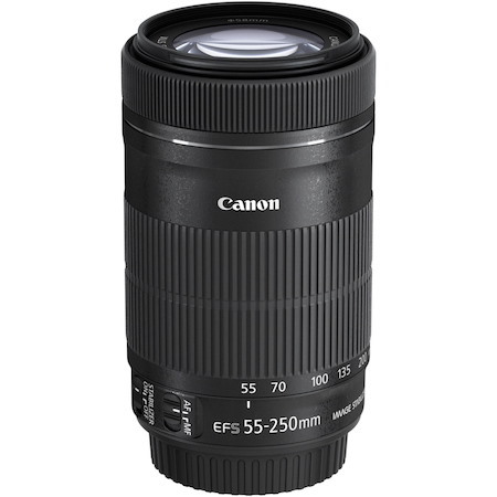 Canon - 55 mm to 250 mmf/5.6 - Zoom Lens for Canon EF-S
