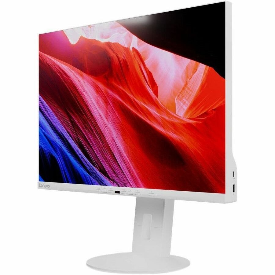 Lenovo C24d-20 24" Class WUXGA LED Monitor - 16:10 - Grey