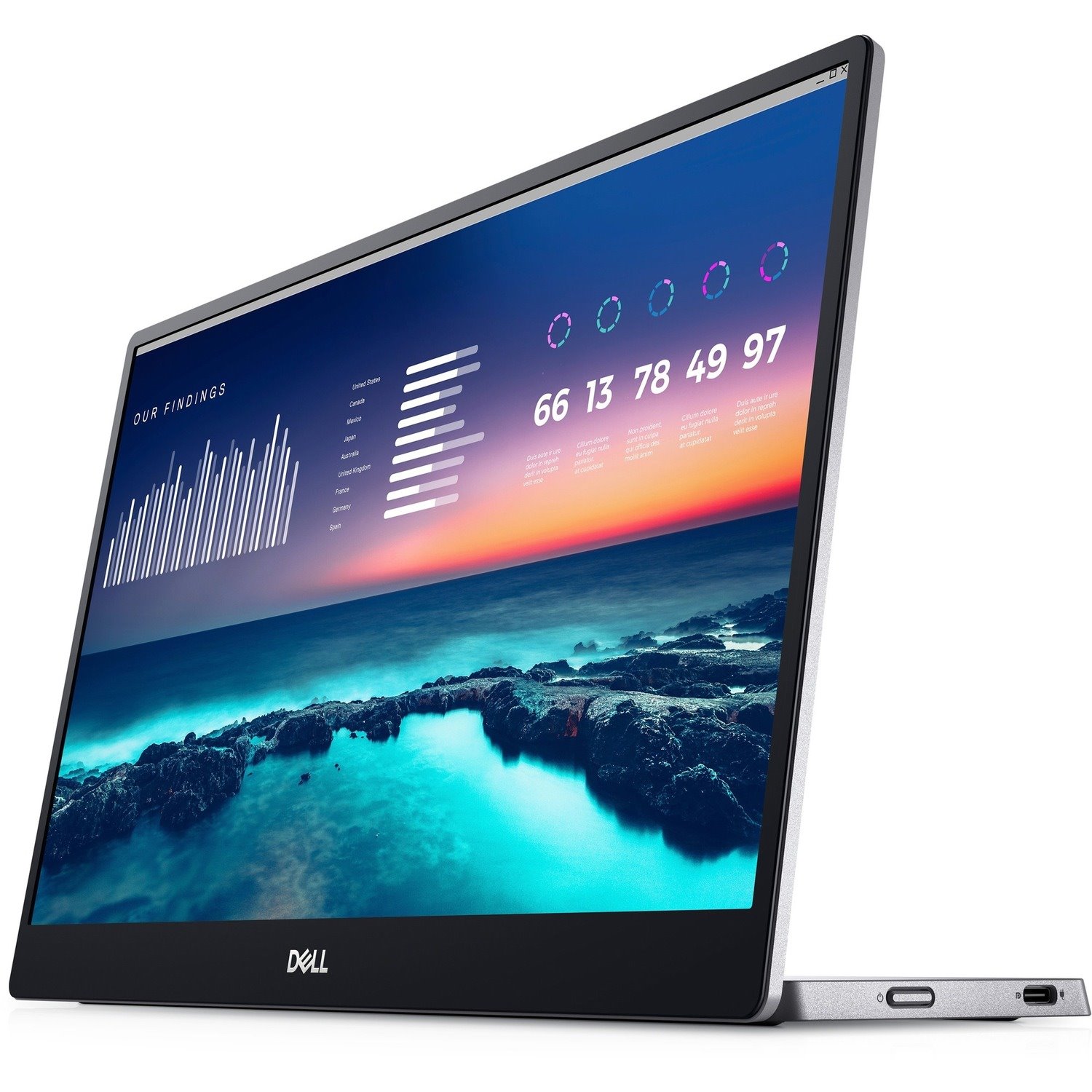 Dell C1422H 14" Full HD LCD Monitor - 16:9 - Silver