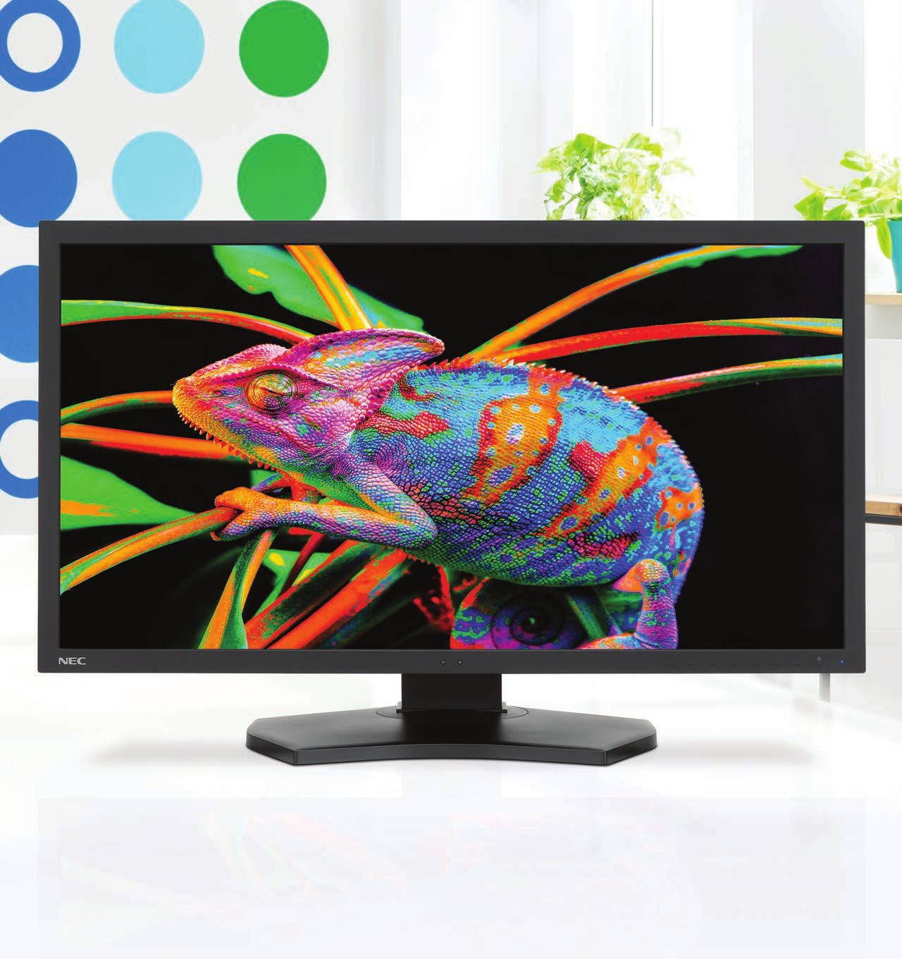 NEC Display PA311D-BK-SV 31.1" 4K WLED LCD Monitor - 17:9