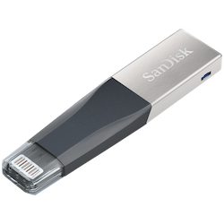 SanDisk Ix4 32Gb iXpand Mini Flash Drive (Apple