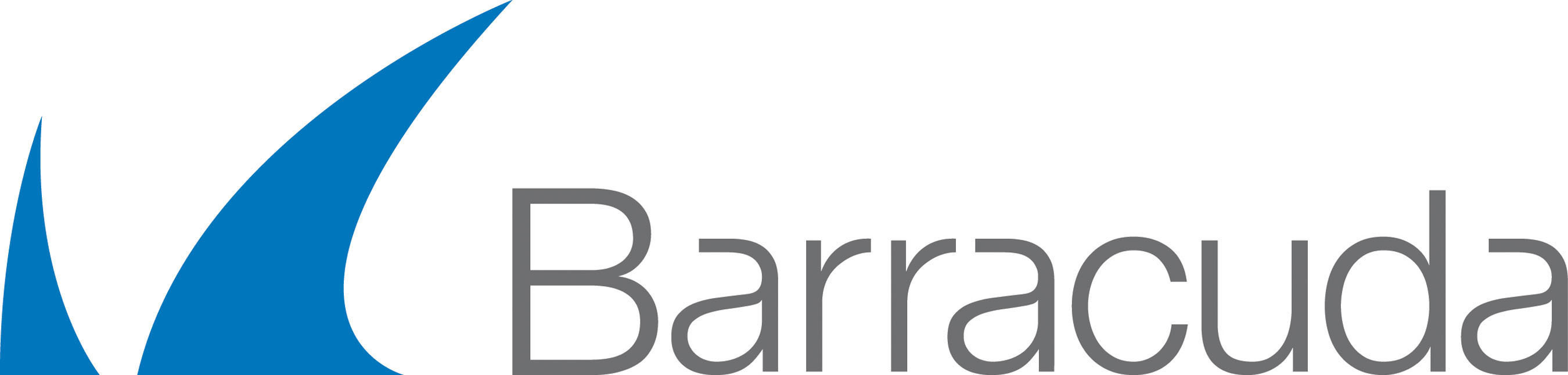 Barracuda Backup Server 990